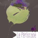 Programme Périscope - Saison 2014-2015 partie 2